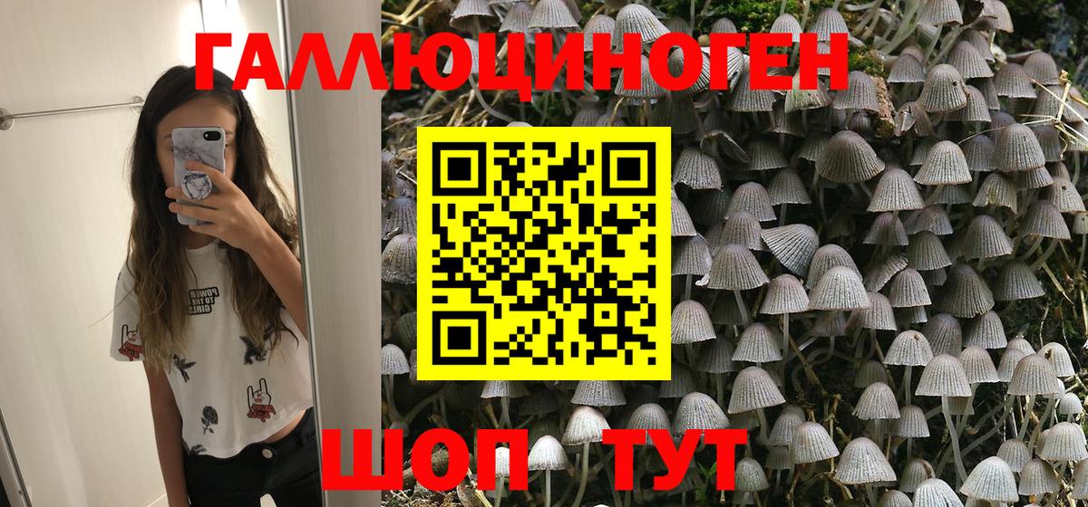 Псилоцибиновые грибы мицелий Урай